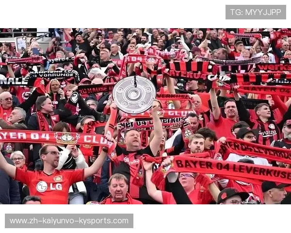 德甲历年来获得冠军的球队数量统计及比较